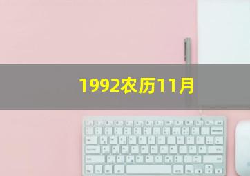 1992农历11月