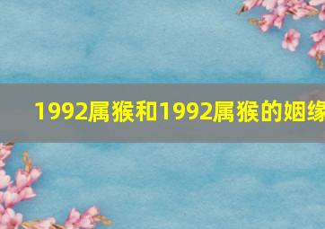 1992属猴和1992属猴的姻缘