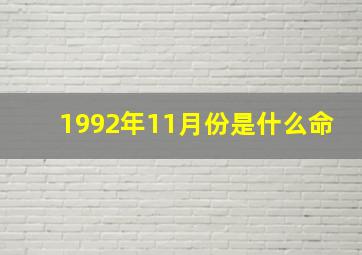 1992年11月份是什么命