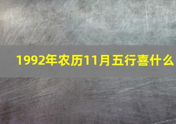 1992年农历11月五行喜什么