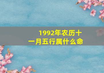 1992年农历十一月五行属什么命