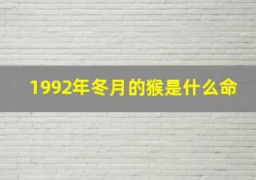 1992年冬月的猴是什么命