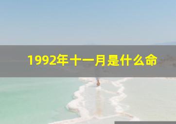 1992年十一月是什么命