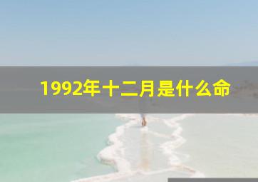 1992年十二月是什么命