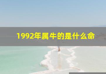 1992年属牛的是什么命