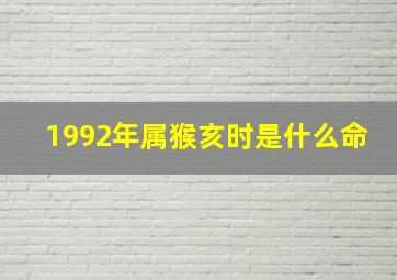 1992年属猴亥时是什么命