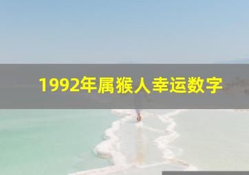 1992年属猴人幸运数字