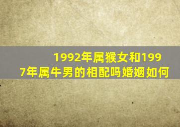 1992年属猴女和1997年属牛男的相配吗婚姻如何