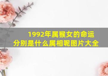 1992年属猴女的命运分别是什么属相呢图片大全