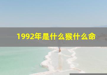 1992年是什么猴什么命