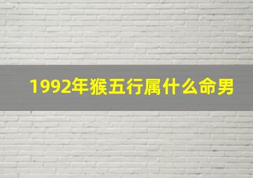 1992年猴五行属什么命男