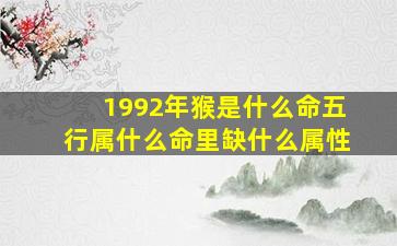 1992年猴是什么命五行属什么命里缺什么属性