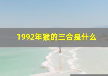 1992年猴的三合是什么