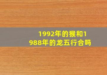 1992年的猴和1988年的龙五行合吗