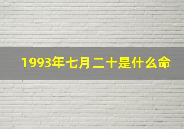 1993年七月二十是什么命