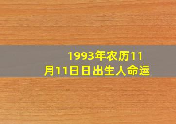 1993年农历11月11日日出生人命运