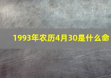 1993年农历4月30是什么命