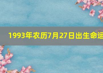 1993年农历7月27日出生命运