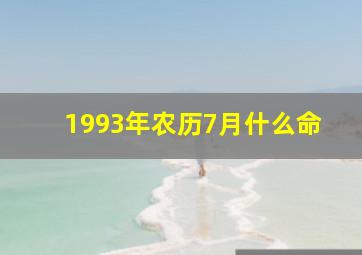 1993年农历7月什么命