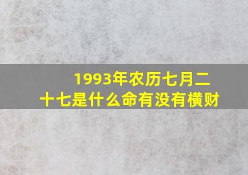 1993年农历七月二十七是什么命有没有横财