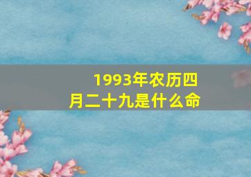 1993年农历四月二十九是什么命