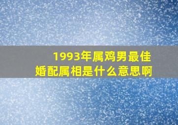 1993年属鸡男最佳婚配属相是什么意思啊