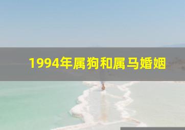 1994年属狗和属马婚姻