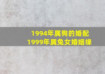 1994年属狗的婚配1999年属兔女婚姻缘