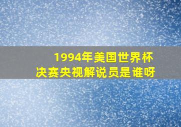 1994年美国世界杯决赛央视解说员是谁呀