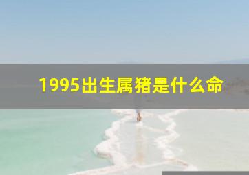 1995出生属猪是什么命