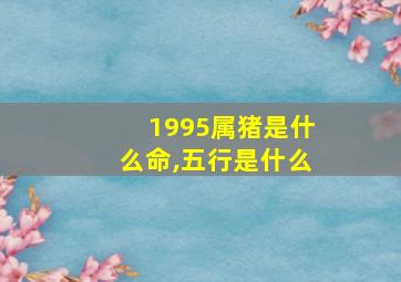 1995属猪是什么命,五行是什么