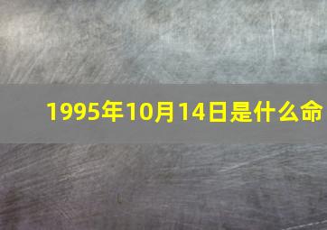 1995年10月14日是什么命