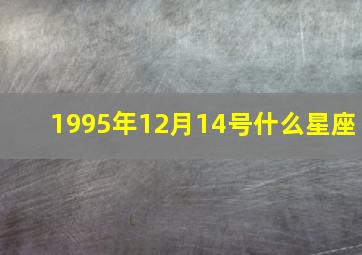 1995年12月14号什么星座