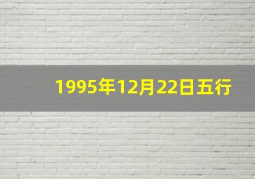 1995年12月22日五行