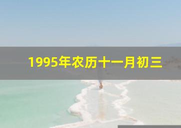 1995年农历十一月初三