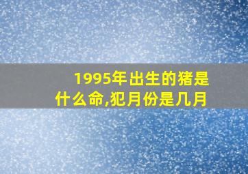 1995年出生的猪是什么命,犯月份是几月