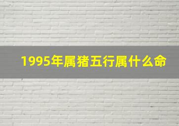 1995年属猪五行属什么命