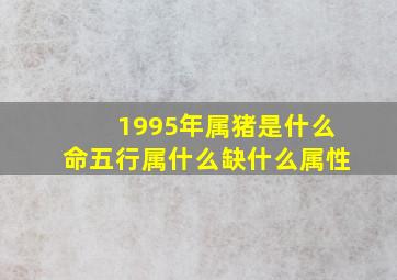 1995年属猪是什么命五行属什么缺什么属性