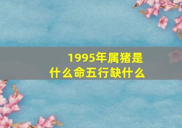 1995年属猪是什么命五行缺什么