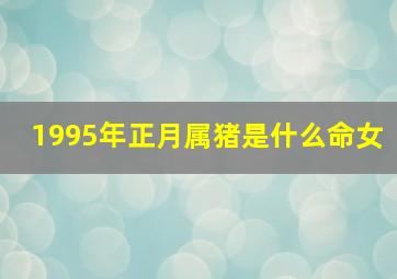 1995年正月属猪是什么命女