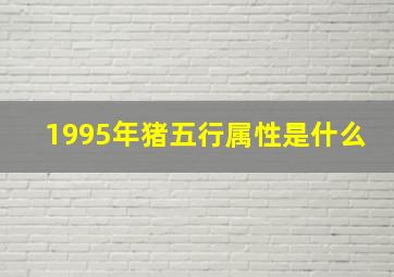 1995年猪五行属性是什么