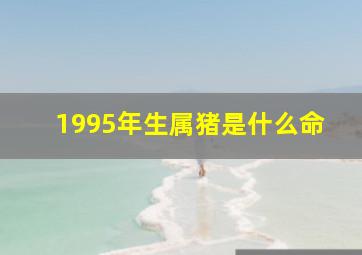 1995年生属猪是什么命