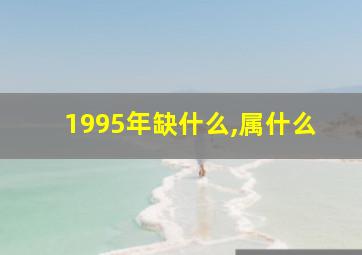 1995年缺什么,属什么