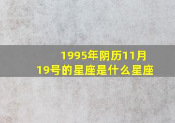 1995年阴历11月19号的星座是什么星座