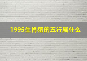 1995生肖猪的五行属什么