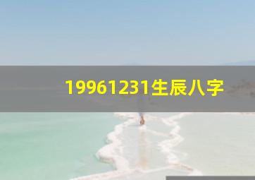 19961231生辰八字