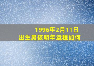 1996年2月11日出生男孩明年运程如何