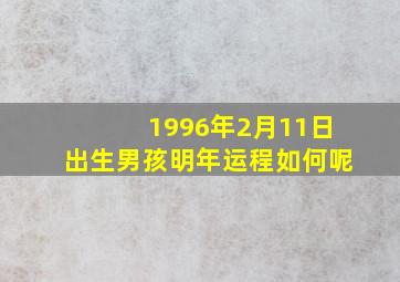 1996年2月11日出生男孩明年运程如何呢