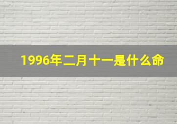 1996年二月十一是什么命