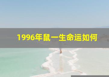 1996年鼠一生命运如何